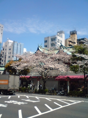 ºù
