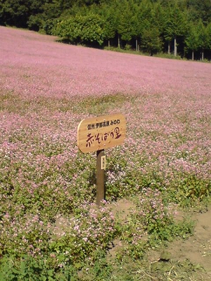 minowa