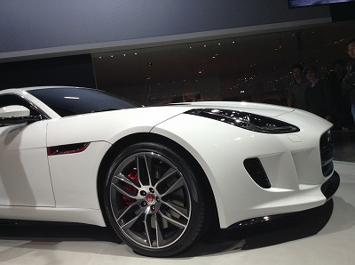 jaguar