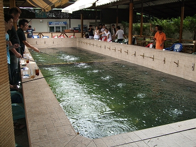 outlet